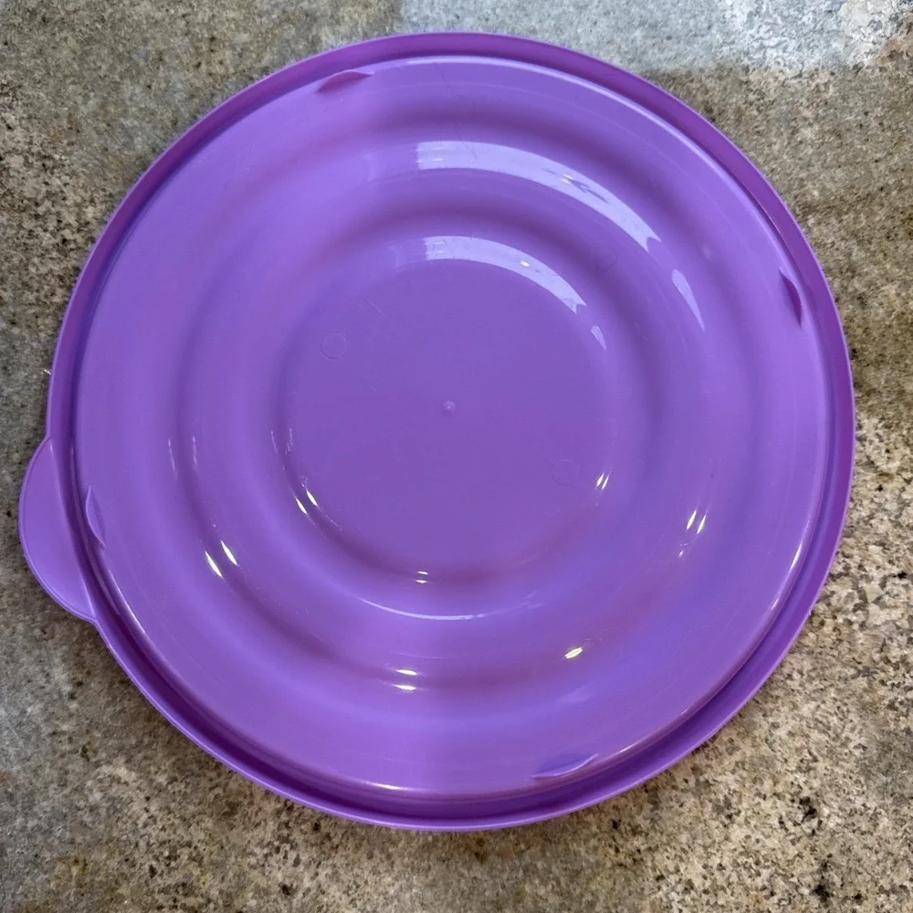 Rubbermaid takealong lid